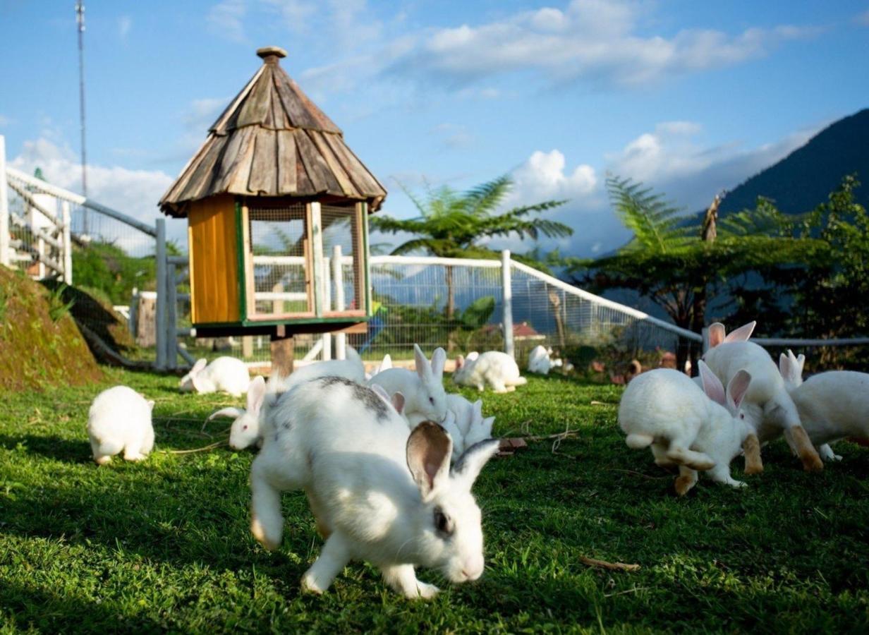 O Chau Homestay Lao Cai Exterior foto